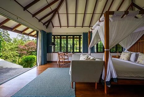 Dickoya Suite